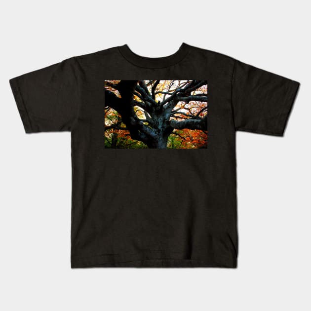 Huge trunk of a beech tree with numerous massive interwoven branches in Canfaito forest Kids T-Shirt by KristinaDrozd